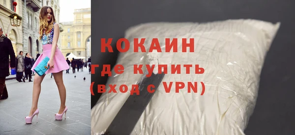 индика Белокуриха