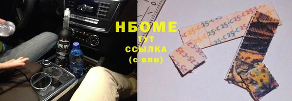 индика Белокуриха