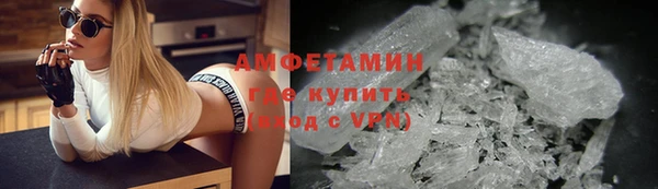 индика Белокуриха