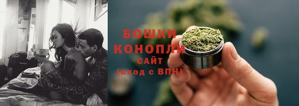 индика Белокуриха