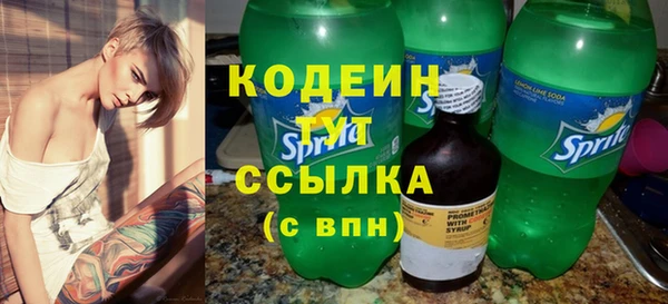 индика Белокуриха