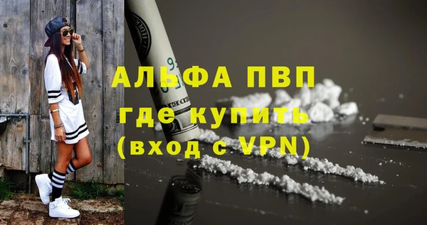индика Белокуриха