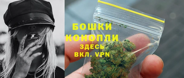 индика Белокуриха