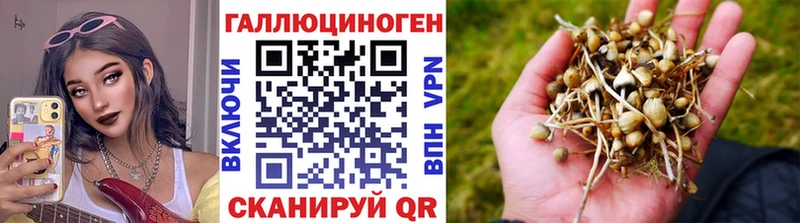 Галлюциногенные грибы Magic Shrooms Маркс