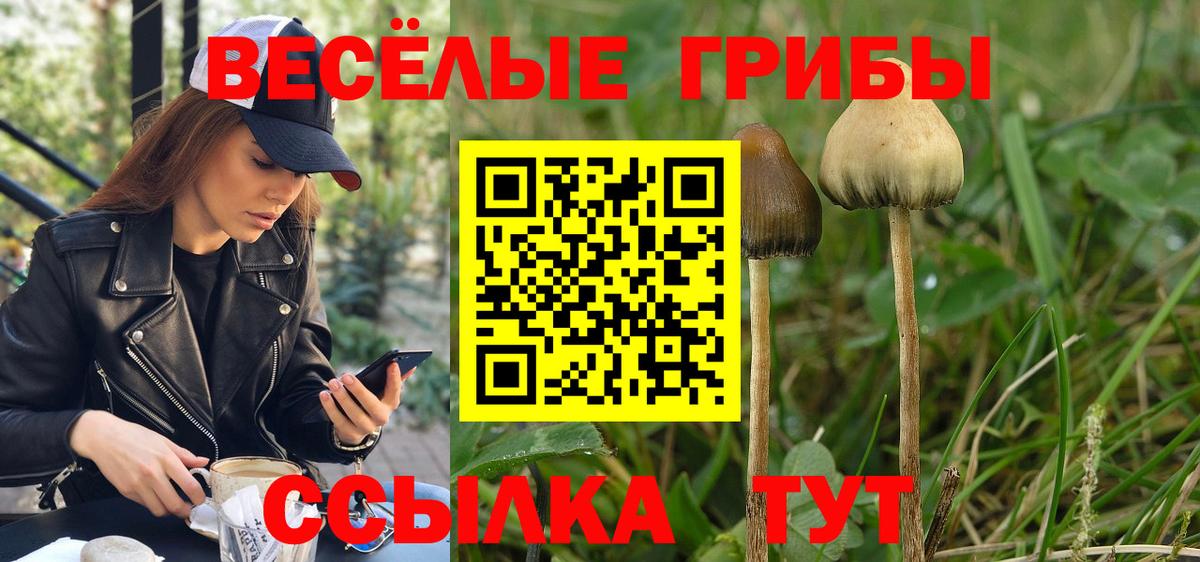 Маркс  Галлюциногенные грибы Magic Shrooms  Вход с VPN 