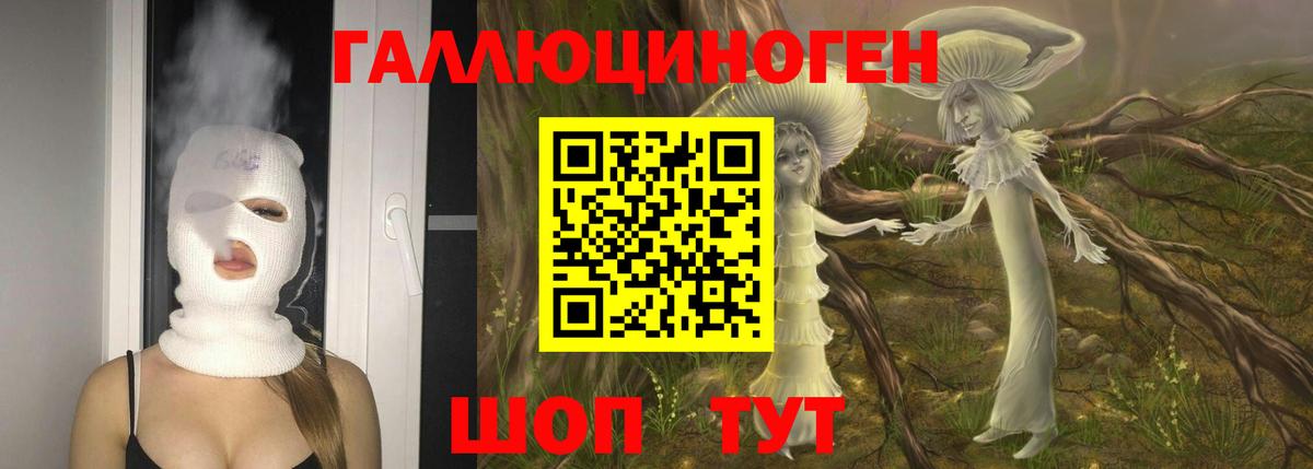 Галлюциногенные грибы GOLDEN TEACHER Маркс